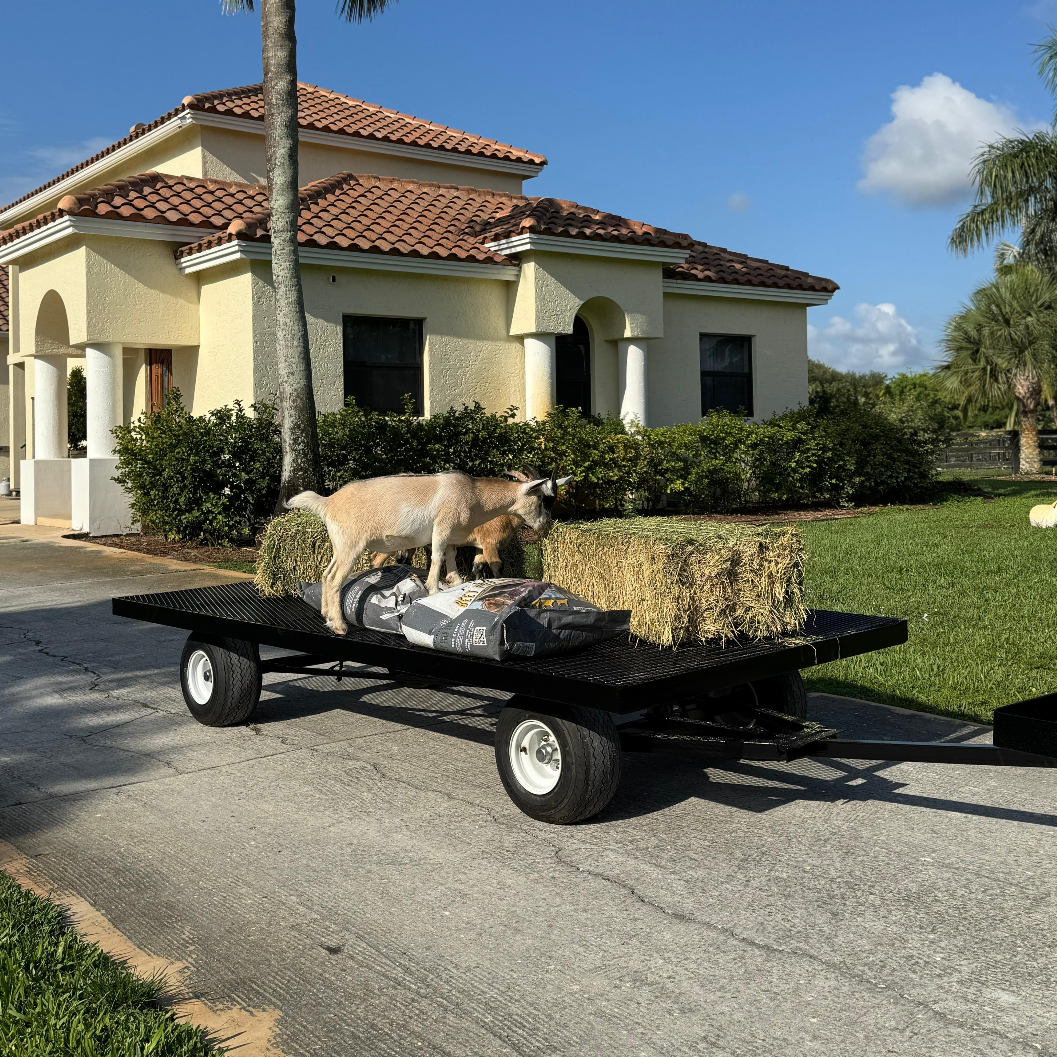 Heavy-duty utility trailer for farm and nursery use - Image 3